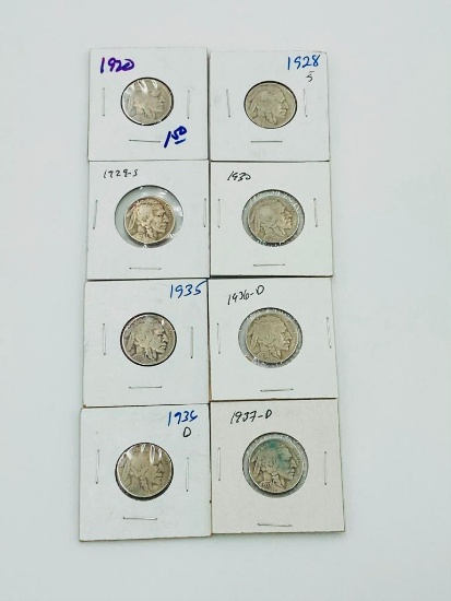 8 Buffalo Nickels 1920-1939-D