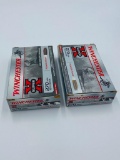 (2) Boxes .270 Ammo