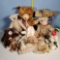 Tray lot of 12 Mixed Age Teddy Bears and Friends