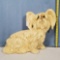 Papillon Dog Statue