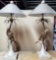 Pair Of Gilt Composite Parrot On A Palm Tree Table Lamps