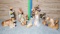 12 Pcs. Goebel Hummel Nativity Set