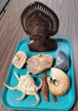 Case Lot Of Collectible Shells, Stones and Ethnic Bust