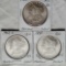 3 Morgan Silver Dollars - NM/MS/UNC - 1880, 1900-O and 1902-O