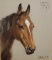 Donald Wood Watercolor on Paper Horse Head Portrait