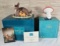 2 Disney Figurines With Original Boxes & COA