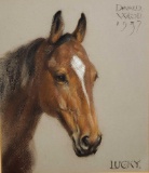 Donald Wood Watercolor on Paper Horse Head Portrait