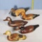 5 Hand Carved Wood Duck Decoys with Glass Eyes