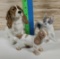 3 Porcelain Dog Figurines