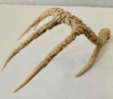 Indonesian Deer Antler Carving Balinese Artwork 