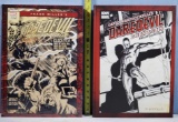 Marvel IDW Daredevil Mazzucchelli's Born Again Artist's Edition Miller's Artifact Edition Hardbacks