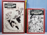 John Romita's The Amazing Spider-Man Artifact and Artist's Editions Marvel IDW Hardback Editions
