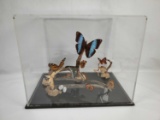 Vintage Butterfly Taxidermy Terrarium Under Plexiglass