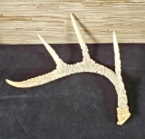 Indonesian Deer Antler Carving Balinese Artwork