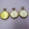 3 - D. S. & Co., Premo, Swiss Made 21 Jewel Gold Plated Pocket Watches