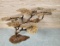 Bijan Bonsai Tree Sculpture