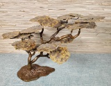 Bijan Bonsai Tree Sculpture