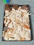 Tray Full of Finely Carved Bone Animal Cabochons