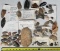 Case Lot of Fosils, Mineral Specimens and Shells
