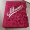 LOOKS Like New Maroon Velvet Victorian Photo Album