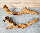 Natural Wood Hand Carved Branches with Lizards