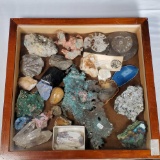 Case and Contents of Fossils and Minerals