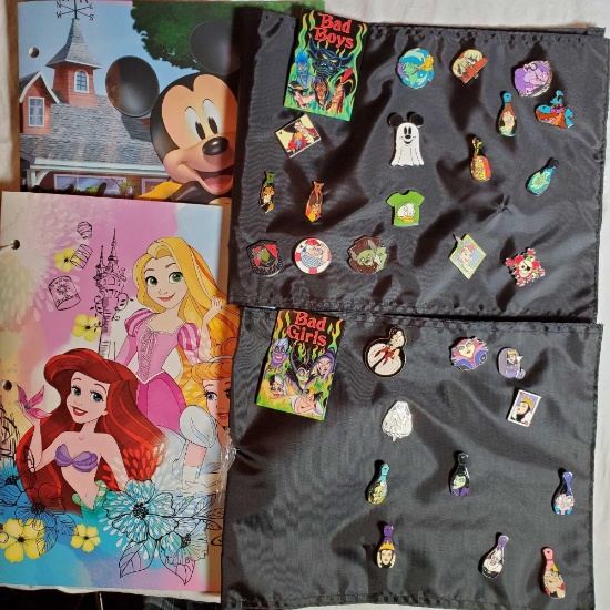 30 Disney Bad Girls and Bad Boys Collectors Pins - Walt Disney World Resort Hidden Mickey And Others