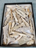 Approx. 50 Hand Carved Bone Animals