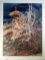 Bev Doolittle Prayer for the Wild Things Signed and Numbered Limited Edition Print with Folder COA