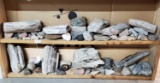 Two Shelves of Petrified Wood & Other Rocks