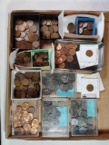 Tray Lot of Early US Lincoln Wheat Cents Incl 1909 VDB, Steel Pennies, UNC and More