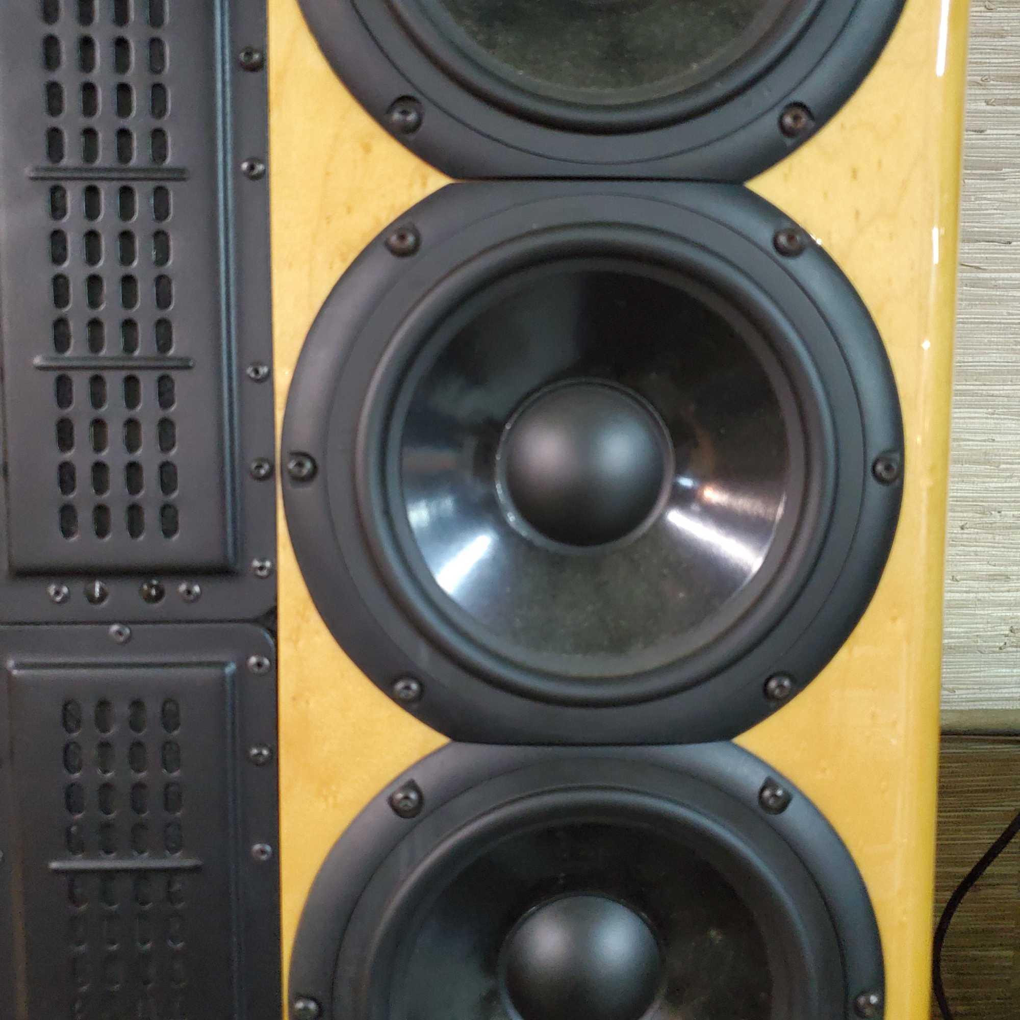 2- Used Focus LS6 Loud Speakers, 2- Used Onix Of Proxibid