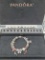 Authentic Pandora Bracelet with Lots of Charms & Lmt. Ed. Box