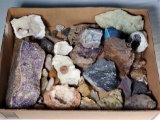 Tray Lot of Crystal and Mineral Specimens