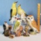 Royal Worcester, Carl Ens and Other Porcelain Bird Figurines