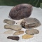 Collection Of Fossils And Primative Tools