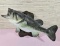 * Mounted Largemouth Bass Taxidermy