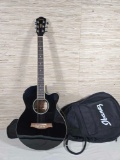 Ibanez Acoustic Electric Guitar With Carrying Case
