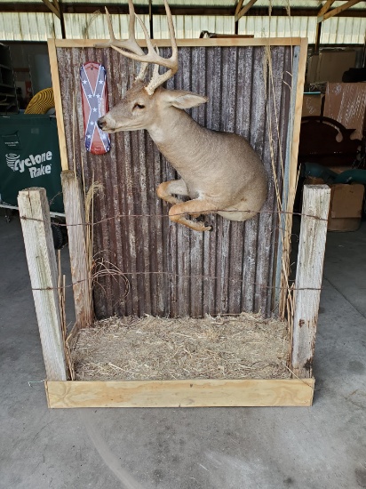 Deer Mount