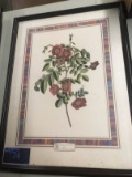 Framed Image, Old Fashioned Pink Roses