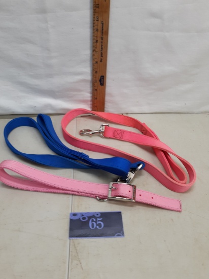 pink dog collar and pink and blue leashes