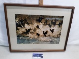 Framed image of ducks in water