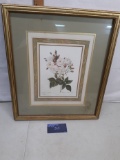 Framed image, floral, wood frame