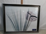 framed image, xray of anthurium