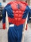Spiderman costume, Adult