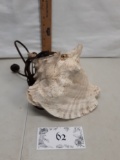 Conch shell modified into night light