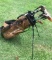 Cobra Golf Stand Bag with Old Wooden Head Clubs