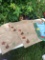 (5) Suede Feel Placemats and Welcome Yard Flag