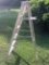 5ft Aluminum Ladder