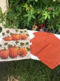 (5) Fall Décor Placemats